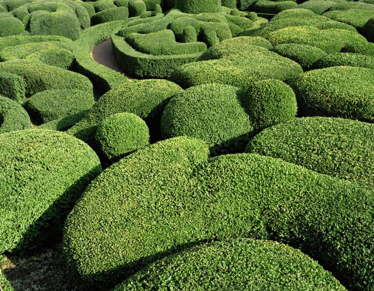 Giardini di Marqueyssac