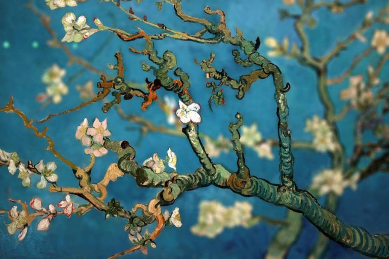 Tilt Shift Van Gogh by Melonshade