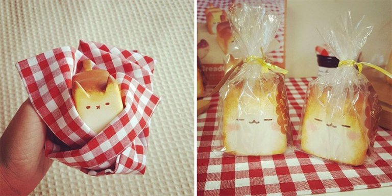 Pane a forma di gattini per pic-nic che scoppiano di tenerezza