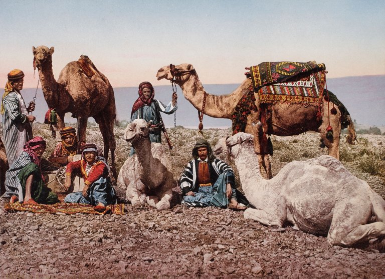 Sosta nel deserto siriano