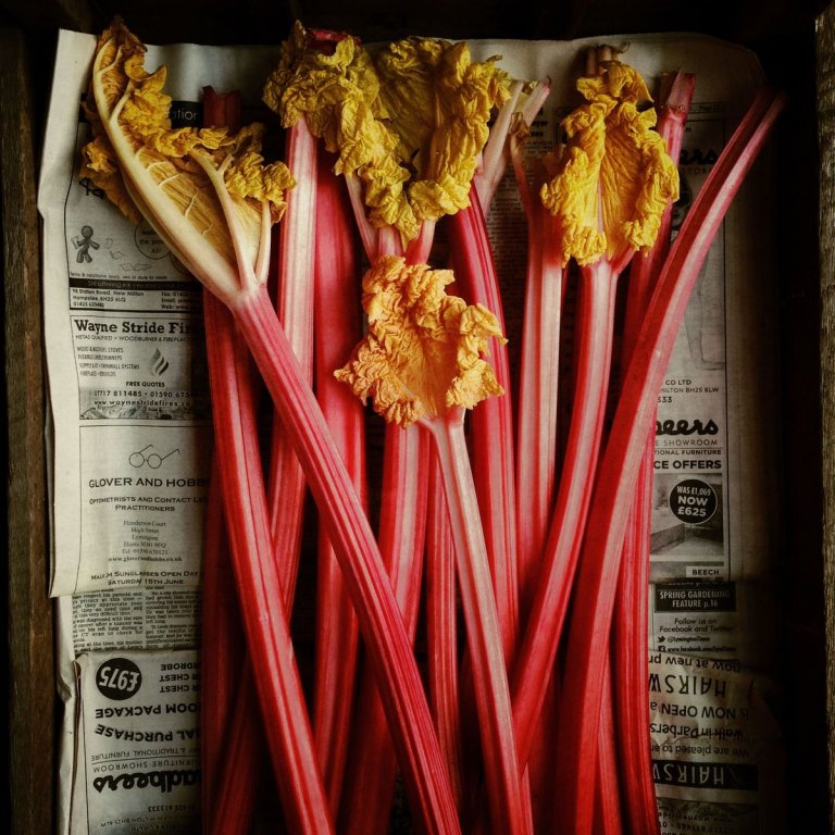 Cibo: Andrew Montgomery, GB