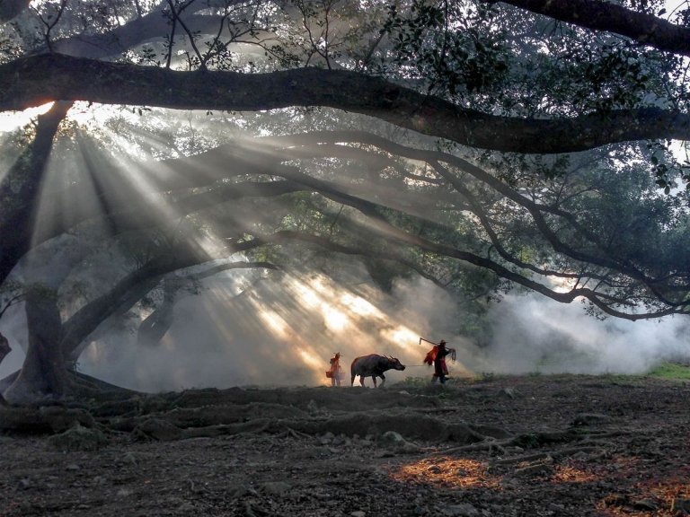 Viaggi: Fugen Xiao, Cina