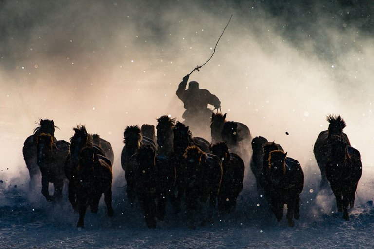 La foto vincitrice del Gran Prize