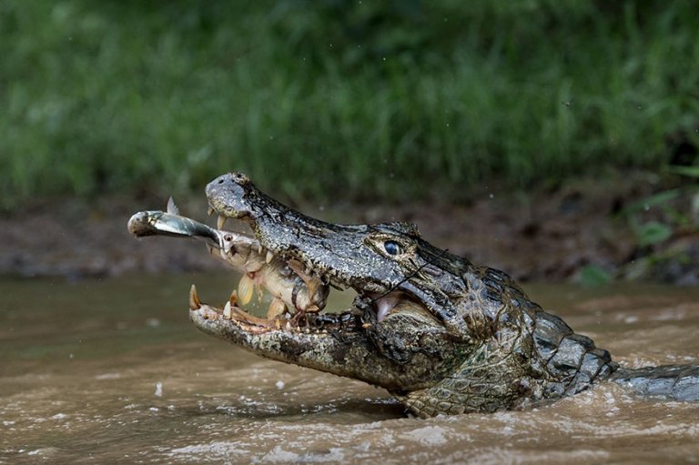 Secondo premio sezione Natura