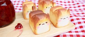 Pane gattini