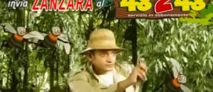 Zanzara faccia di merda