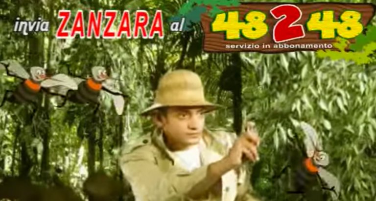 Zanzara faccia di merda