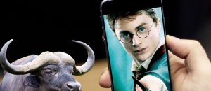 Harry potter go bufala