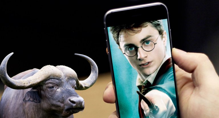 No, non uscirà la versione Harry Potter di Pokémon Go: è una bufala