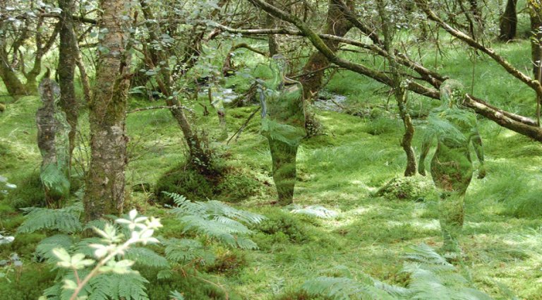 Rob Mulholland