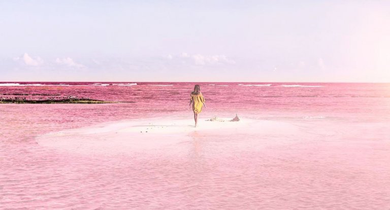 La laguna dall’acqua rosa di Las Coloradas in Messico fa impazzire Instagram