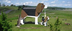 Beagle hotel