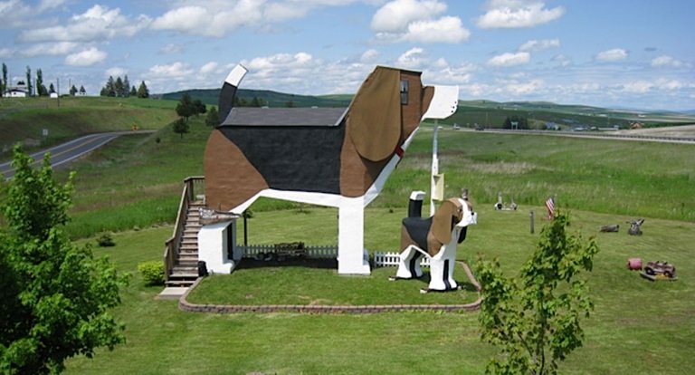 Beagle hotel