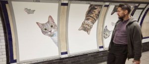 Gatti metro