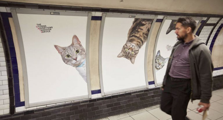 Gatti metro