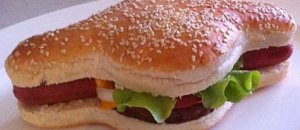 Hot dog burger
