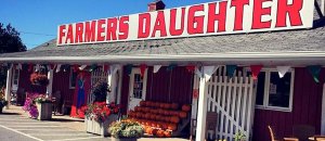 Il negozio in canada