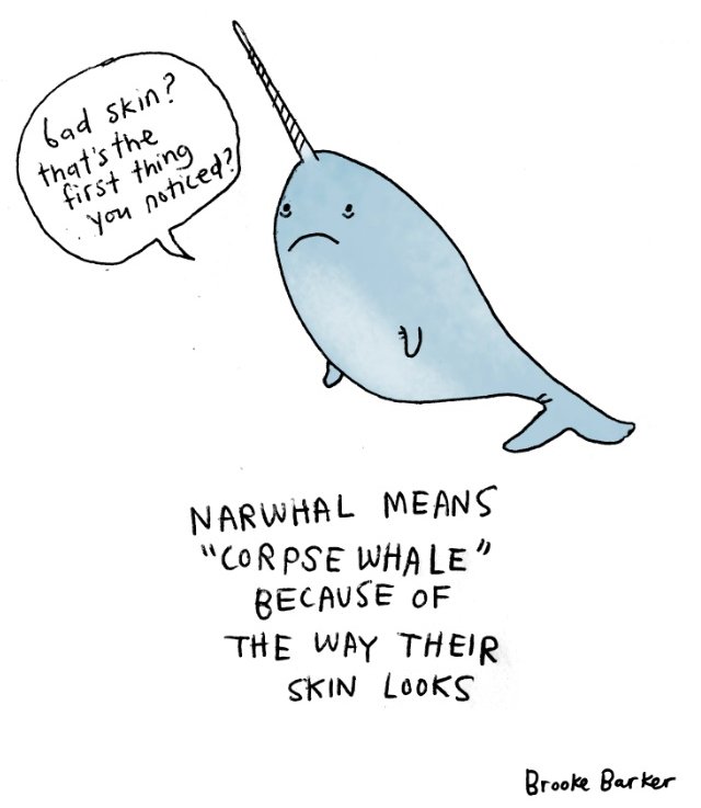norwhal means corpse whale because of the way their skin looks