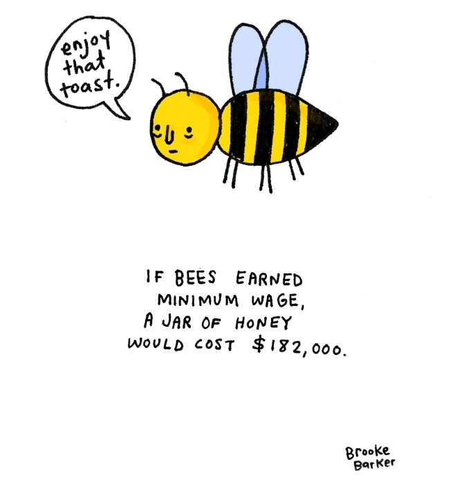 if bees earned minimum wage a jar would cost $182,000