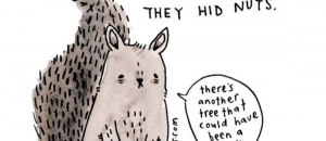 Sadanimalfacts scoiattolo