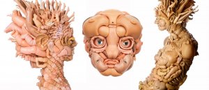 Sculture disturbanti