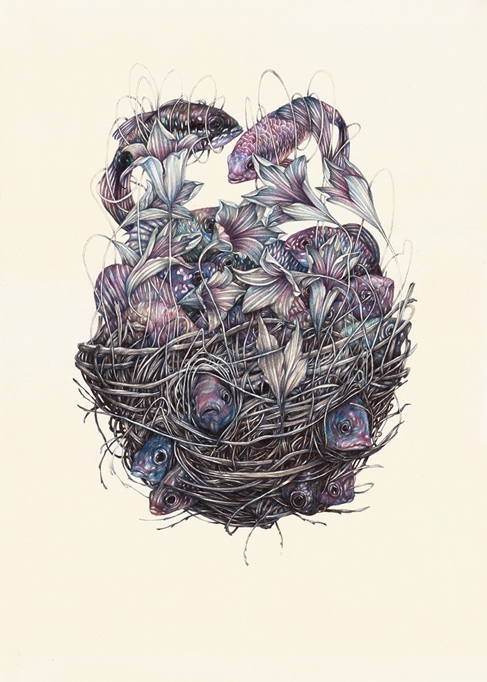 2016, matite colorate su carta moleskine, cm 42x30