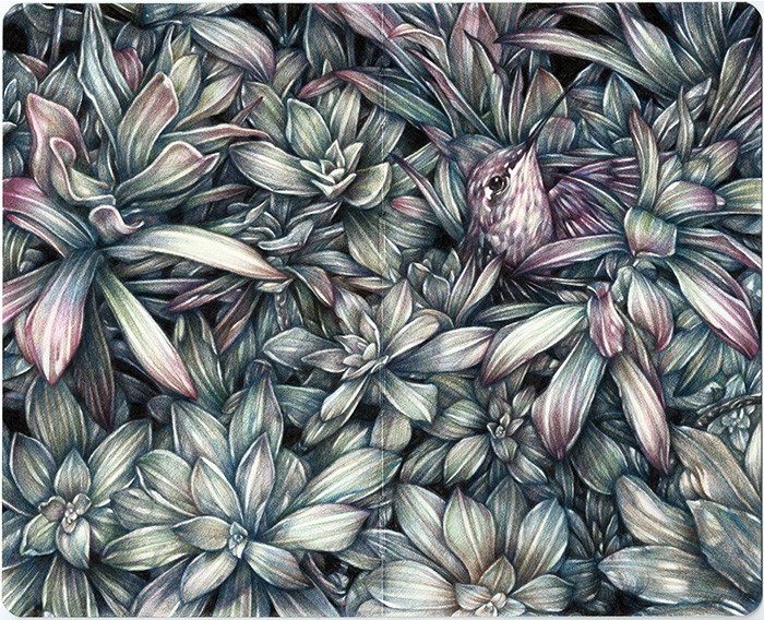 2016, matite colorate su carta moleskine, cm 21x26