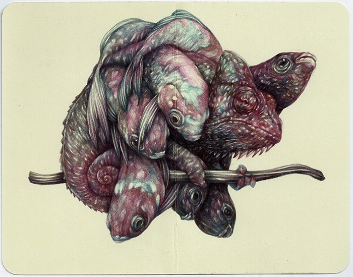 2016, matite colorate su carta moleskine, cm 14x18