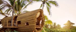 Casa bambu messico