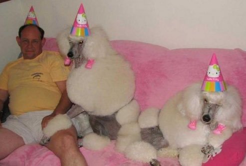 La festa di compleanno più in, quella coi cani imbellettati