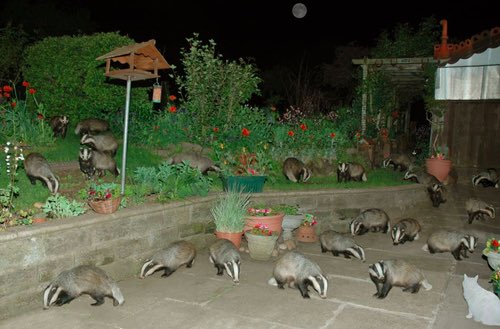 "Mamma, fuori ci sono i Gremlins..."
