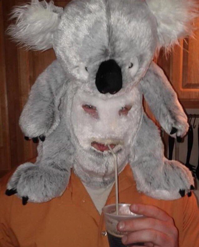 "Mi vesto da koala, il costume più tenero del mondo" (forse)
