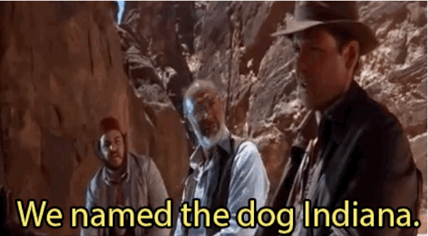 Indiana era il nome del cane di George Lucas, un Alaskan Malamute che è stato anche il prototipo per Chewbacca.