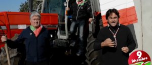 Forconi calvani isis