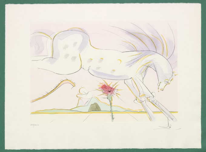 dali-experice-bologna4