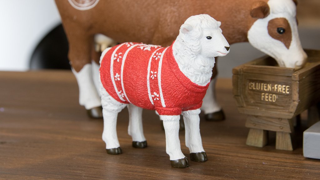 Questa pecorella, accorsa a testimoniare il prodigio, ha voluto indossare il golfino per manifestare il fatto che, nel 2016, nemmeno le pecore sono come quelle di una volta.