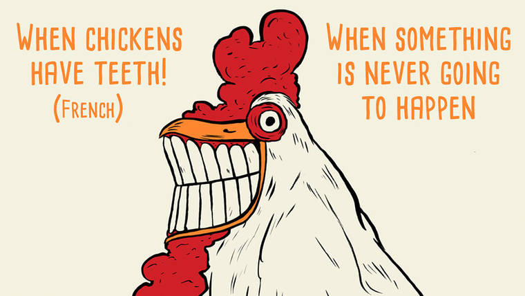 I francesi usano questa espressione per dire che una specifica cosa non succederà mai, proprio come i denti non spunteranno mai alle galline.