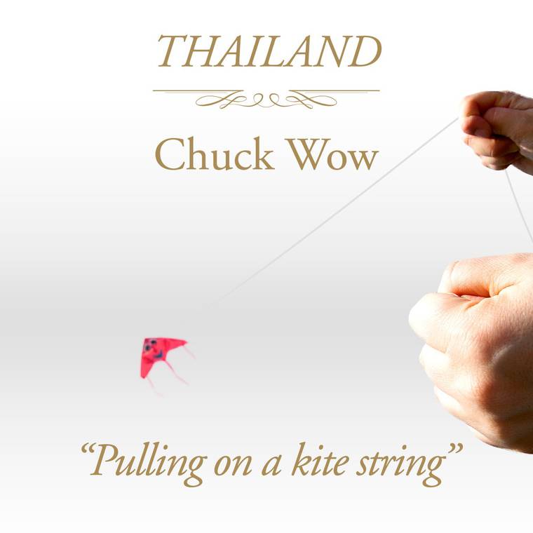 Quanta poesia in Tailandia, loro tengono strette le corde dell'aquilone, quando si vanno a masturbare. OK.