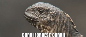 iguana serpenti documentario bbc