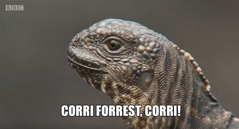 iguana serpenti documentario bbc