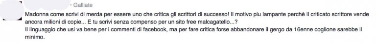 Tutti gli insulti che ho ricevuto scrivendo su internet