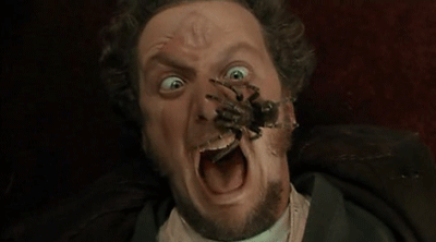 Proprio così, niente effetto speciale in computer grafica, ma un vero enorme ragno peloso che cammina in faccia al cattivone. Stern ha autorizzato una sola ripresa e per non spaventare il ragno, ha mimato l'urlo che poi è stato doppiato in seguito.