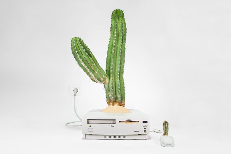 Power Macintosh / 1996 • Isolatocereus dumortieri