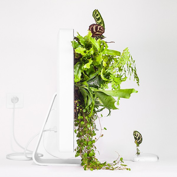 I vecchi modelli della Apple si trasformano in vasi per le piante