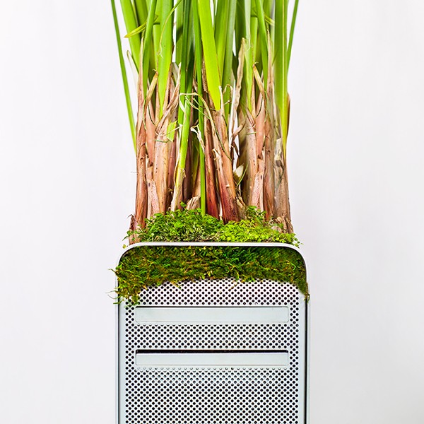 I vecchi modelli della Apple si trasformano in vasi per le piante