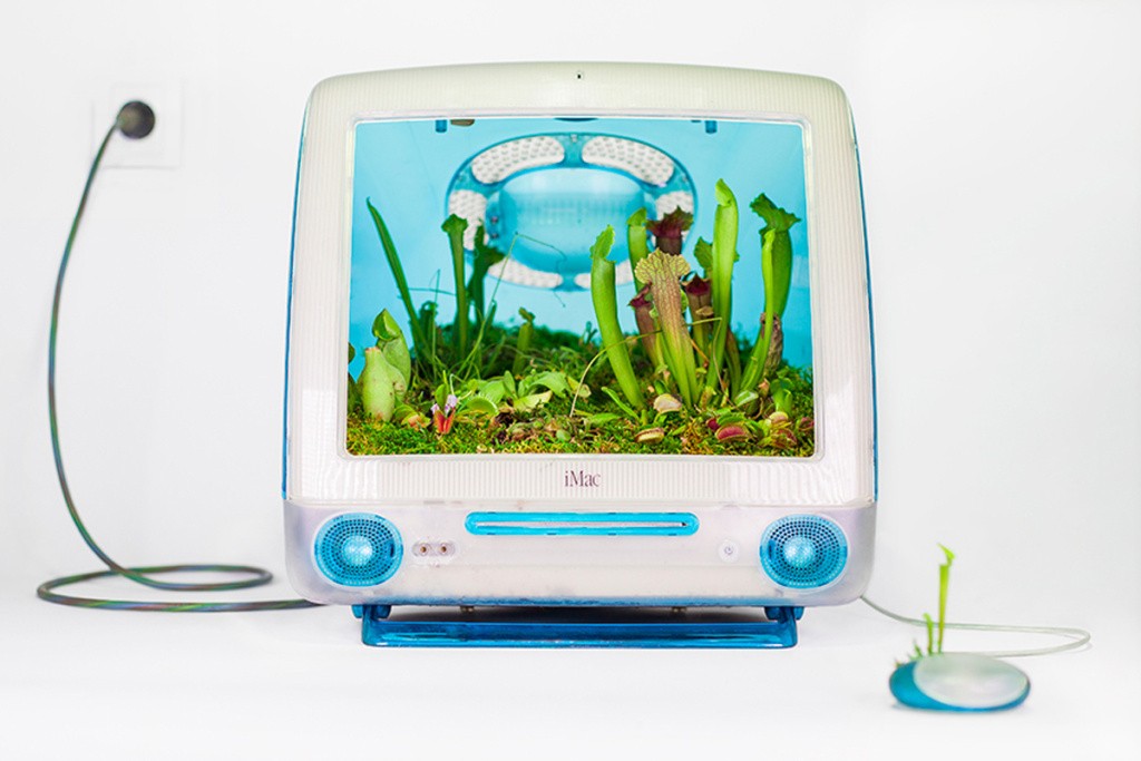 I vecchi modelli della Apple si trasformano in vasi per le piante
