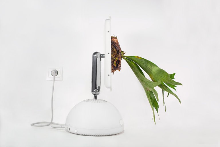 Plant your Mac! • Macerium • Imac G4 / 2002 • Platycerium