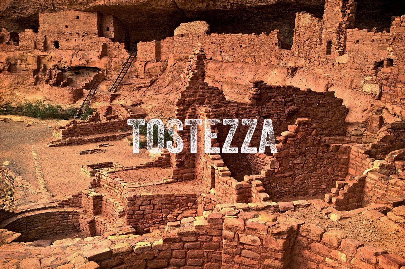 Fretta, sollecitudine