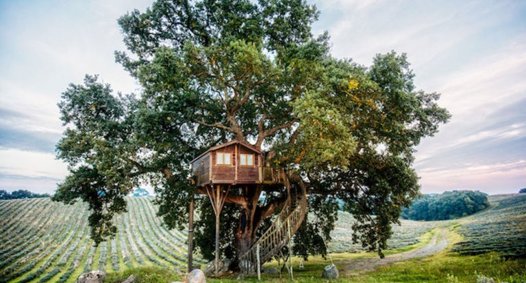 Casa alberoa