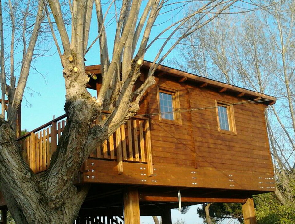 Il Nido è la suite sull'albero a 5 km da Latina, in una zona ricca di vegetazione, lontana dal caos. Un pernottamento romantico, per due persone costa 230 €. 
Visita il sito